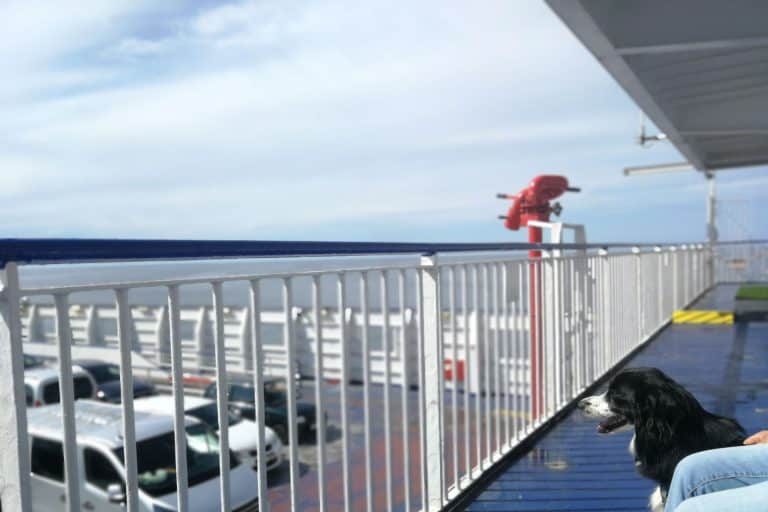 Hondenuitlaatplek op de overtocht Travemünde - Liepaja